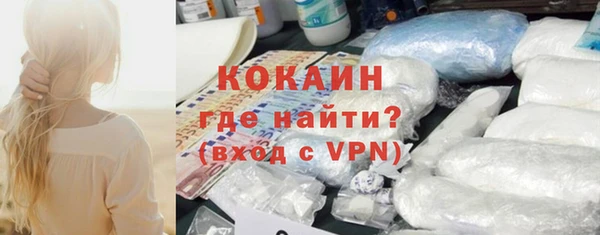 стаф Няндома