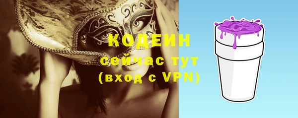 молекула духа Нягань