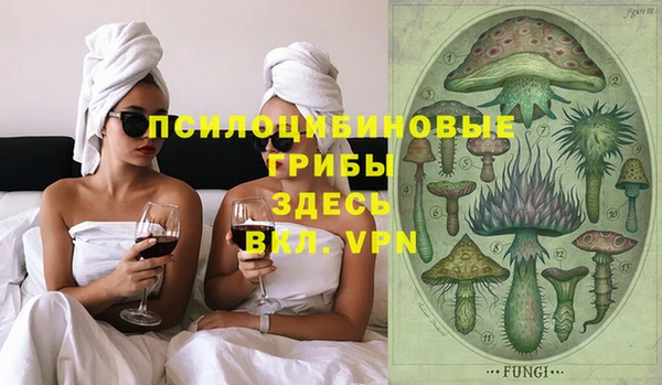 стаф Няндома