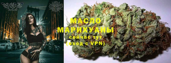 молекула духа Нягань