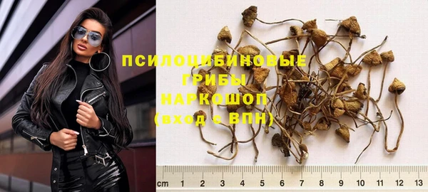 молекула духа Нягань
