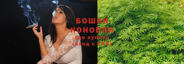 стаф Няндома