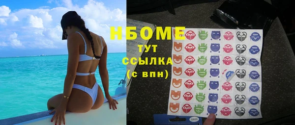 стаф Няндома